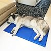 Hondenkoelmat groot 50x65cm – niet-giftige gel zelfkoelende pad – geweldig voor honden katten in de hete zomer