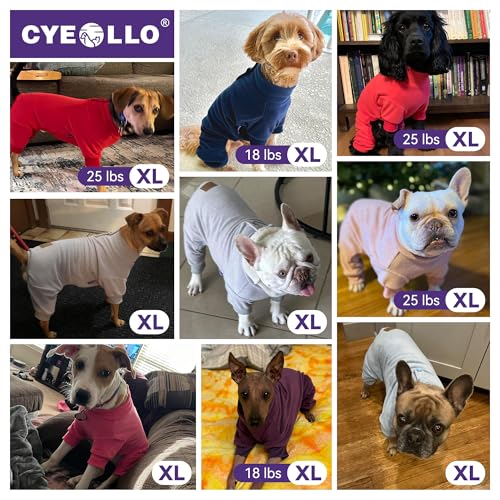 Pijama térmico para perros cyeollo color fucsia miniatura 6