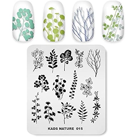 Alexnailart Nail Art Stamping Plates Set Flower Print Manicure Template Nail Art Tools (NA015) Cover