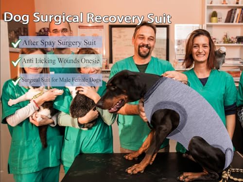 Image of Dog Surgical Recovery Suit, After Spay Abdominal Wounds Post Surgical Suit for Dogs Female Male Dog Onesies, Anti Licking Breathable Dog Shirt