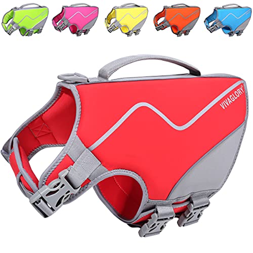 Top 10 Best Life Vest For Dogs [Experts 2023 Reviews]