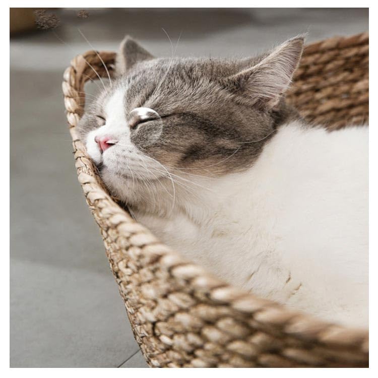 Amazon.co.jp: 猫ベッド 籐編み カゴ バスケット 猫ベッド 犬ベッド