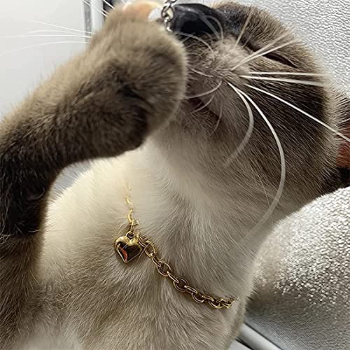 Image of HOWWFALY Dog Collar and Cat Chain Necklace Stainless Steel Adjustable 18K Gold Heart-Shaped Necklace for Small Pets Cats Kitten Puppy (Gold, 10 inch)