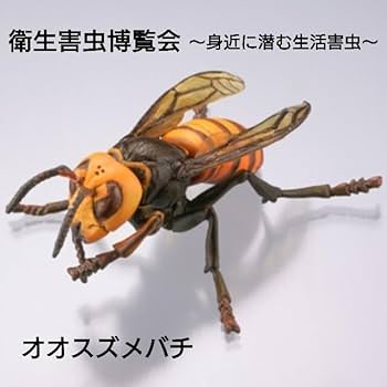 衛生害虫博覧会 51n14VESgIL._UF350,350_QL80_.jpg