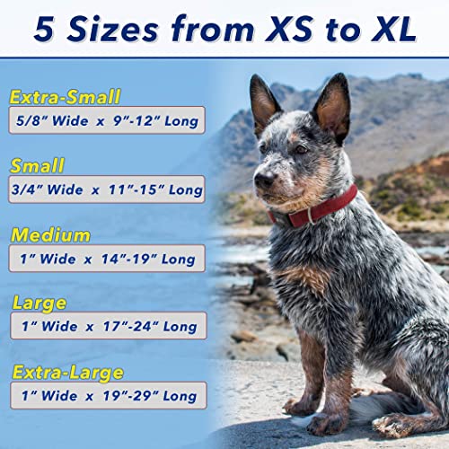 Fuzzy Friends Khaki Hemp Dog Collar. Hypoallergenic Dog Collar Great For Sensitive Skin Or Allergies. 5 Sizes: X-Small, Small, Medium, Large Or X-Large Breeds With No Harsh Dyes Or Chemicals #TOP3