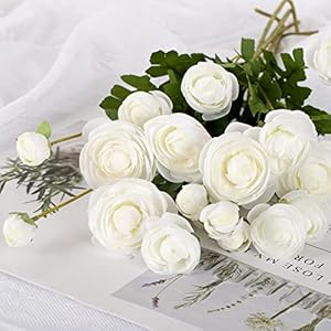 Silk Ranunculus Flowers 23.6 Inch Tall-5 Stems Artificial Buttercup Flowers for Wedding Bouquets, Centerpieces,Home Decor,Floral Arrangements (White,UV Resistant) Silk Ranunculus Flowers 236 Inch Tall 5 Stems Artificial Buttercup Flowers for Wedding Bouquets CenterpiecesHome DecorFloral Arrangements WhiteUV Resistant
