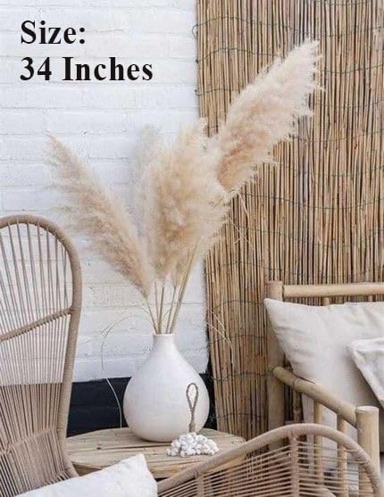 XTORE Dried 4 Pcs Pampas Grass for Home Decoration (Pack of 4 Sticks, Off-White) 2
