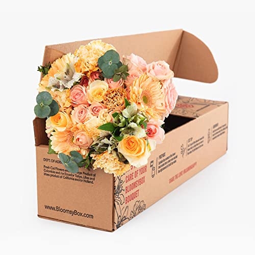 BloomsyBox Farm-Fresh Pastel Garden Bouquet, Peach and Cream Design, Care Card, Flower Food, Lush Greenery, Flower Delivery, Birthday Flowers, Anniversary Flowers, Wedding Flowers