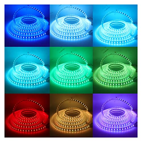Bande lumineuse LED RVB flexible avec télécommande 24 touches étanche 1m