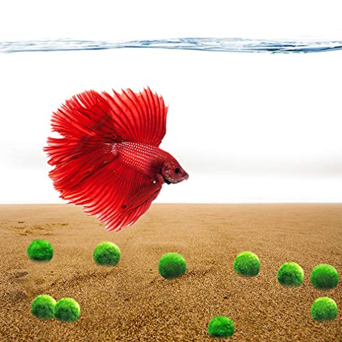 Luffy Nano Betta Balls, 0.4 Inch, Aquarium Play Toy for Betta Fish, Creates Aesthetically Appealing Backdrop, Round-Shaped Marimo Balls, Supports 5-20 Gallon Tanks, Low-Maintenance, 10 Pack