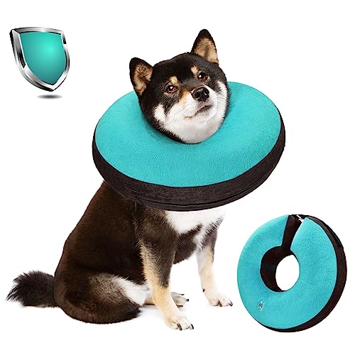 Bilibara Cones for Dogs After Surgery, Teal