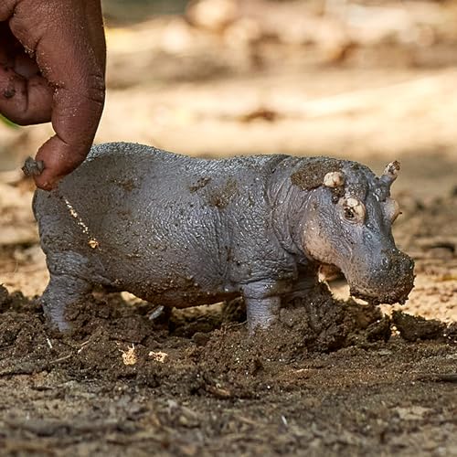 SCHLEICH WILD Life | Flusspferd 14814 | detailgetreue Tierfiguren | Zoo Spielzeug | tolles Geschenk für Jungen und Mädchen | Deko für Geburtstag | Spielfigur ab 3 Jahren | 13 x 5 x 6 cm