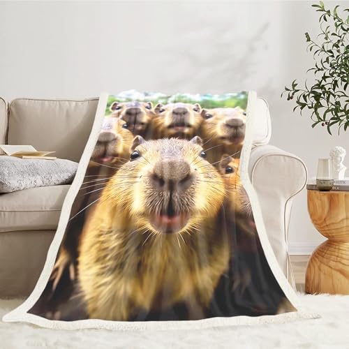 Couverture capybara cadeau original plaid douillet dessin animé enfant