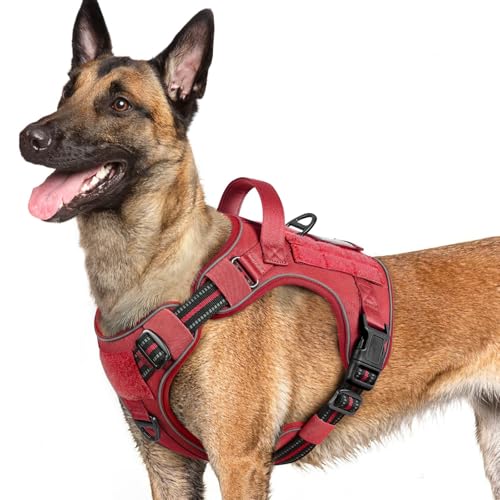 rabbitgoo Dog Harness for Large Dogs No Pull, Tactical Service Pet Vest with Molle and Control Handle, Adjustable and Reflective Military Harness for Easy Walking and Training, Red, L