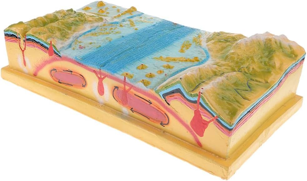 Plate Tectonics Equipment Model Geology Science Teaching Aids