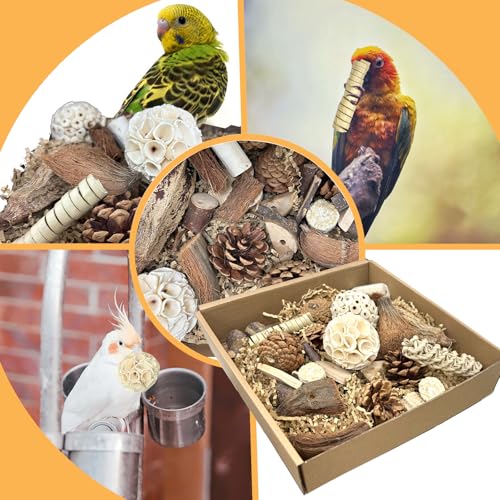 Felicify Bird Toy, Parrot Toy, Parrot Chew Toy, Chewable Bird Toy, Bird Cage Accessories, Budgies Accessories - Image 4