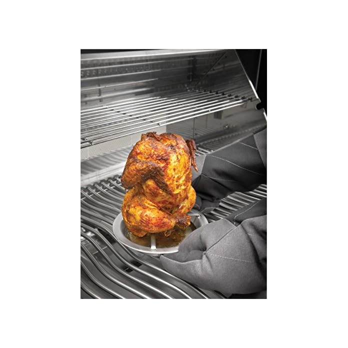 Napoleon Chicken Roaster