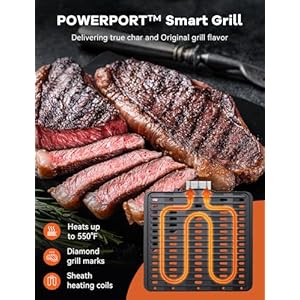 Nuwave TODD ENGLISH Air Fryer Grill Oven Combo, TRUE Char & Flavor, 100 in 1 Super Convection Toaster Oven Countertop, Excellent Thermal Insulation, POWERPORT™ Plug-In Grill, 550°F, Stainless Steel Nuwave TODD ENGLISH Air Fryer Grill Oven Combo TRUE Char Flavor 100 in 1 Super Convection Toaster Oven Countertop Excellent Thermal Insulation POWERPORT Plug In Grill 550F Stainless Steel