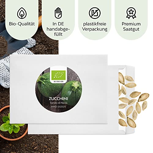 BIO Zucchini Samen Rund (Tondo di Nizza, 5 Korn) - Zucchini Saatgut aus biologischem Anbau ideal für die Anzucht im Garten, Balkon oder Terrasse