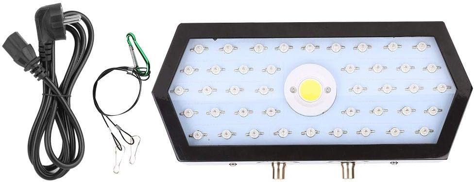 luci per la crescita delle pannocchie