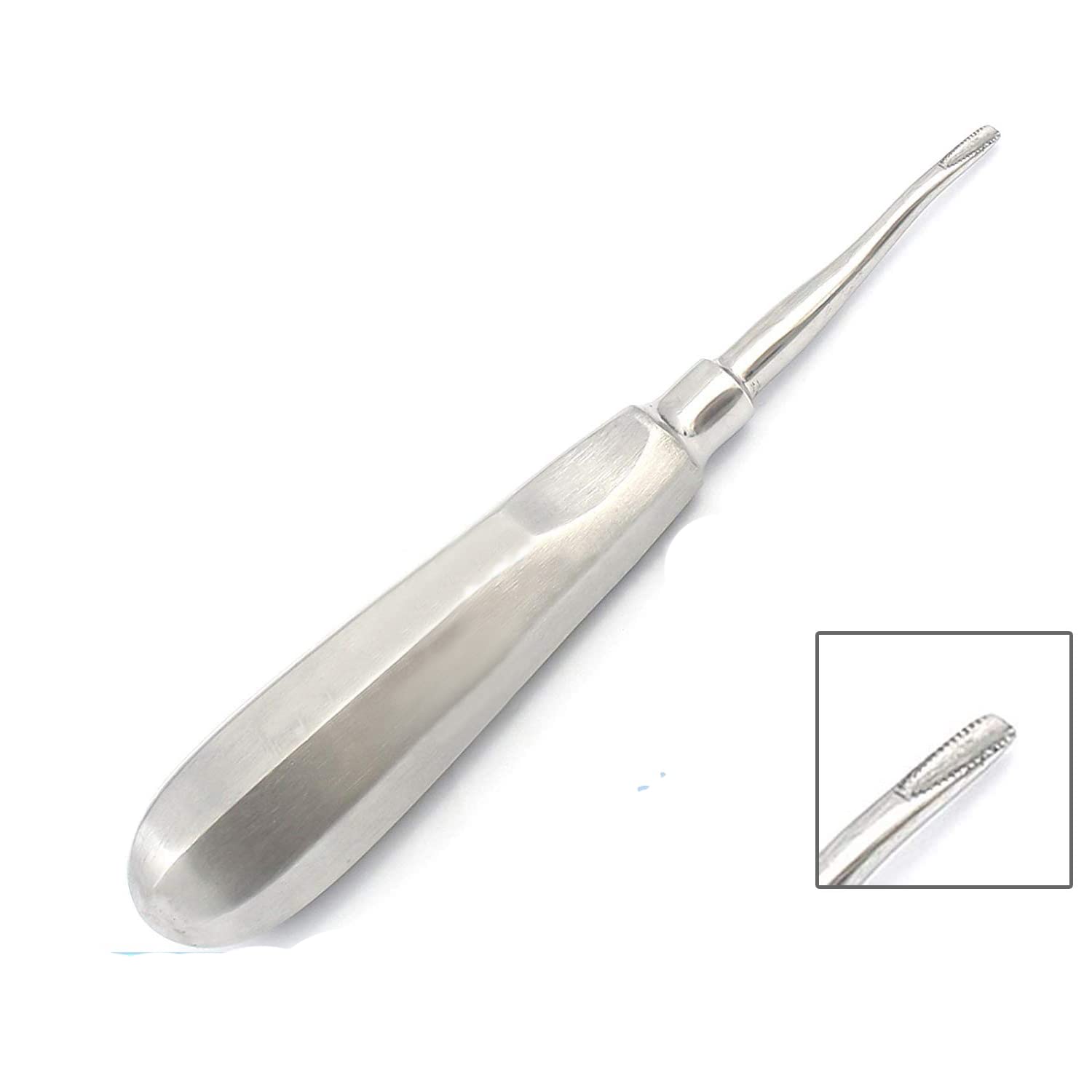 DDP Root Elevator '#77R Back Action Chisel TIP Serrated Tooth EXTRACTING Dental