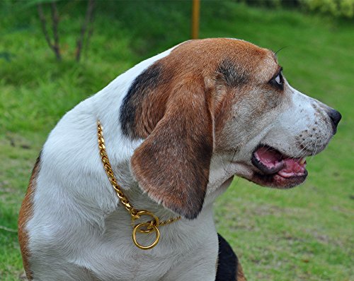 Slzz Luxury Dog Collar Chain/Slip Martingale P Chain/Heavy Duty Stainless Steel 12Mm Curb Chain/Best For Small Medium Large Breeds - For Pit Bull Mastiff Bulldog Big Breeds/Gold,26'' #TOP6