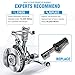 OREDY Rear Strut for 1992-2001 Lexus ES300 & Toyota Camry 3.0L & 1997-2003 Avalon Pair Set Right Left Shock Absorbers with Coil Spring Assembly Replacements - 271680 271681