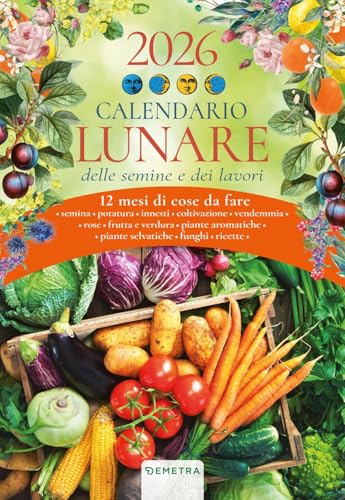 Calendario lunare 2026 da parete (26,5 X 38,5 cm)