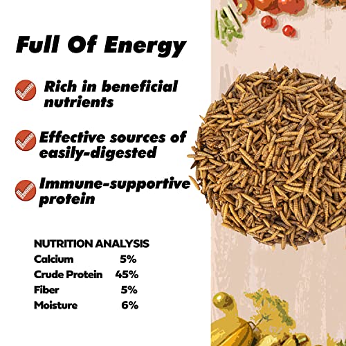 Adaman Dried Black Soldier Fly Larvae 20 LBS-100% Natural Non-GMO BSF Larvae-More Calcium Than Dried Mealworms High-Protein Chickens Treats, Food for Birds, Ducks, Repitle, Hedgehog, Bearded Dragon - Thumbnail 5