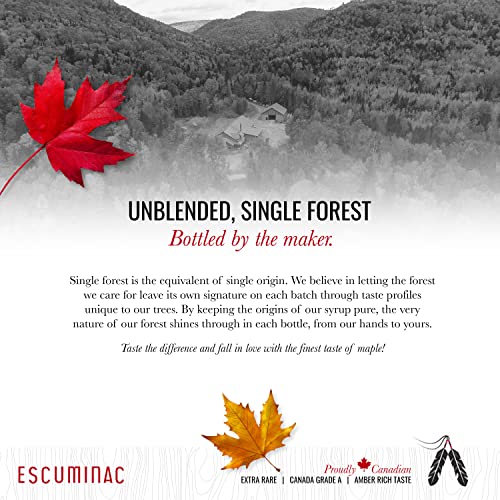 Escuminac Canadian Maple Syrup, Extra Rare Amber Rich Taste, Pure & Organic. Mini Glass Bottles 12 X 50Ml, Bulk Format For Party Favors, Wedding, Holiday #TOP6