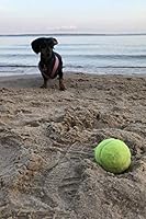 Dog Days Reflections 1731063601 Book Cover