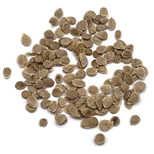 Purely Organic Products Purely Organic Tomato Seeds (Roma) Approx 90 Seeds Certified Organic,Non-Gmo,Open Pollinated,Heirloom,Usa Origin #TOP1