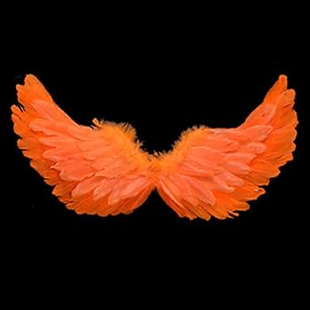 Amazon.com: Creative Angel Feather Wings with Elastic Straps