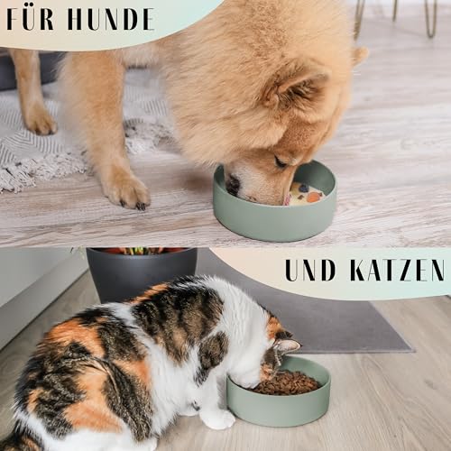 ne&no® Silikon Fressnapf 1200 ml für kleine und mittelgroße Hunde | Futternapf Hund rutschfest | Hunde Trinknapf | Hundenapf