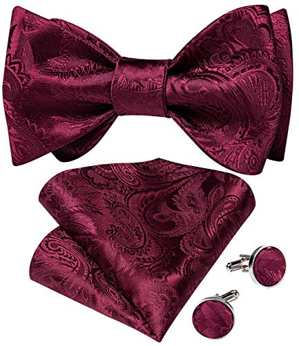 Image of DiBanGu Men Bow Tie Paisley Striped Self-Bow Tie for Men and Silk Woven Bowtie Pocket Square Cufflinks Wedding Party