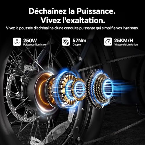 Touroll S2 Pro Vélo Électrique Pliable Tout-Terrain 20"×4.0" Fat Tire, 150KM Autonomie, Batterie 720Wh Amovible, Moteur 250W Vélo Électrique Gros Pneu 7 Vitesses, E-Bike Urbain pour Adulte – vue 2