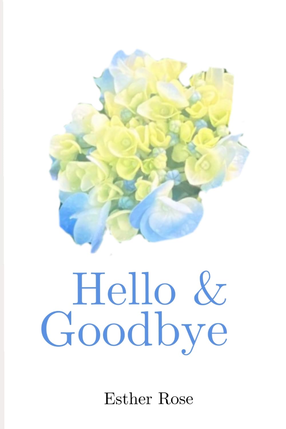 Hello & Goodbye