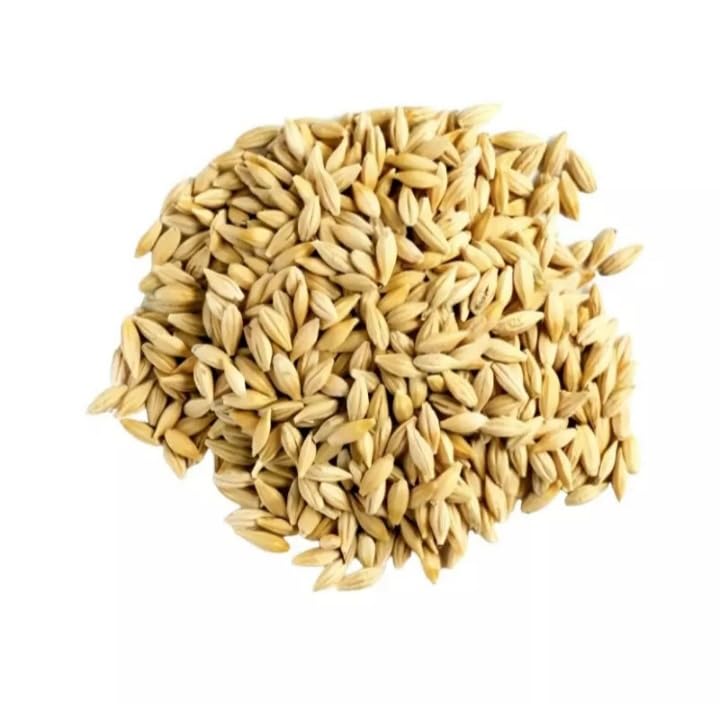 SATARA ETC Jau/Barley for All Birds tradittional Food for Birds (900) gm (B0CKNF7P9L) Amazon Price History, Amazon Price Tracker