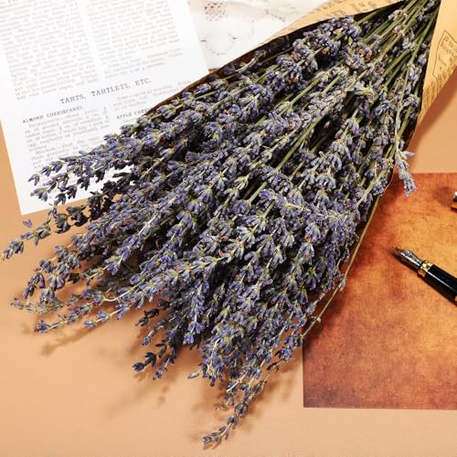 Bouquet de flores secas de lavanda natural decorativo miniatura 5