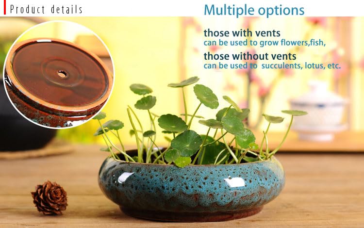 5 Ensembles Pot De Fleurs Jardinières Hydroponiques Pour Plantes D