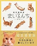 短足猫家族　まいるんち