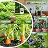 4-in-1 Soil Moisture Meter - 6