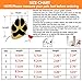 PG.KINWANG Dog Boots Waterproof Dog Shoes for Small to Large Dogs with Reflective Velcro Rugged Anti-Slip Sole Pet Paw Protectors Labrador Husky Black 4 Pcs (Size 6: 2.9''x2.5'')
