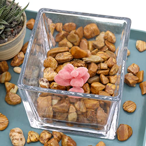 Polished Wooden Pebbles 10 Lb. ½” - 1” Inch Rocks For Plants, Gardens, Landscaping, Succulents, Fish Tank Gravel, Terrarium, Vase Filler, 100% Natural Wood Colored Indoor & Outdoor Decorative Stones #TOP5