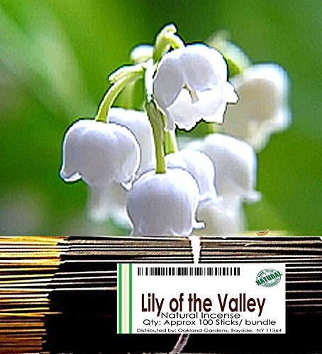 Lily Of The Valley Incense - 100 Sticks (142+ Grams) - Delicate, White-Green Lily Of The Valley with Heart Notes of Rose, Jasmine and Lilac