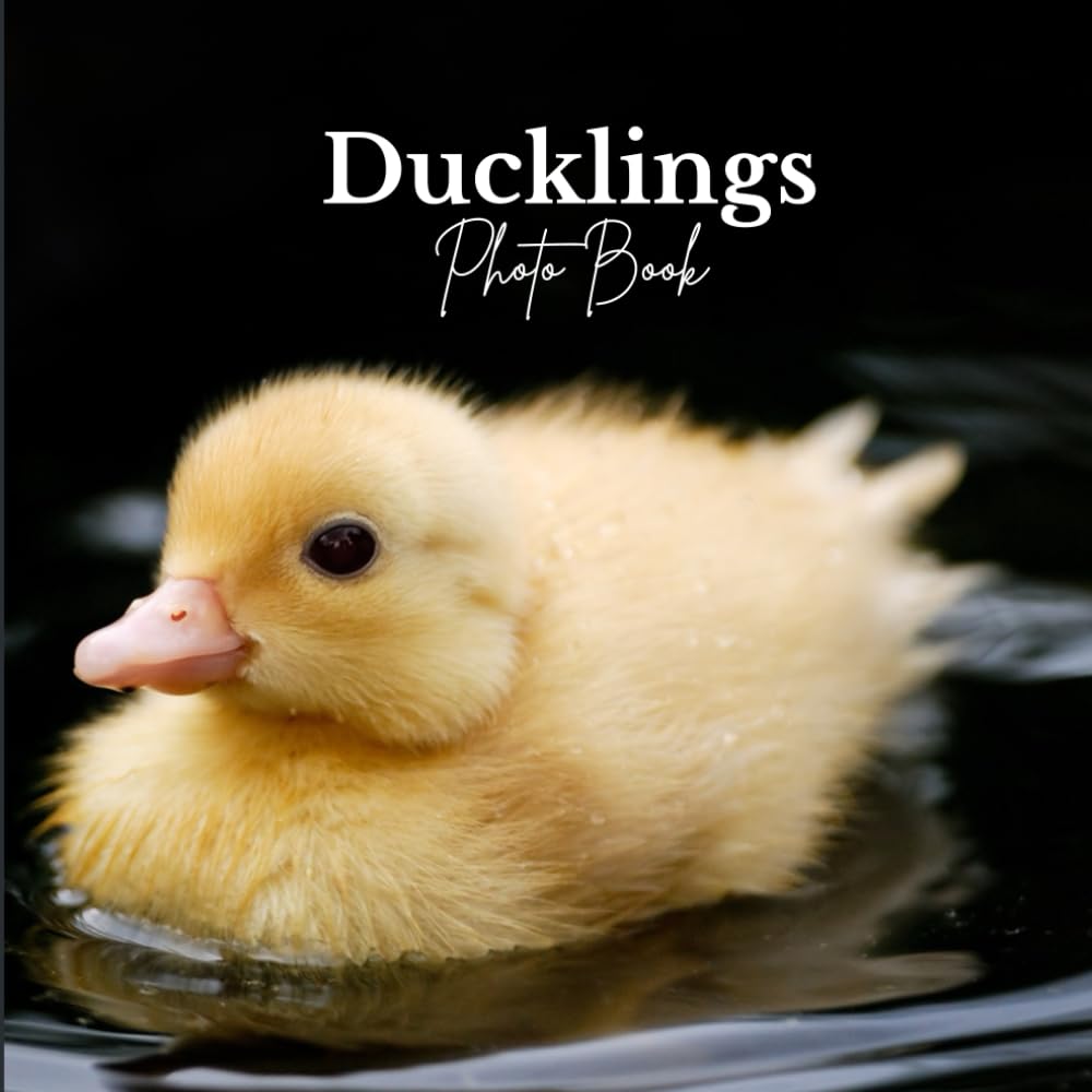 Ducklings: Photo Book