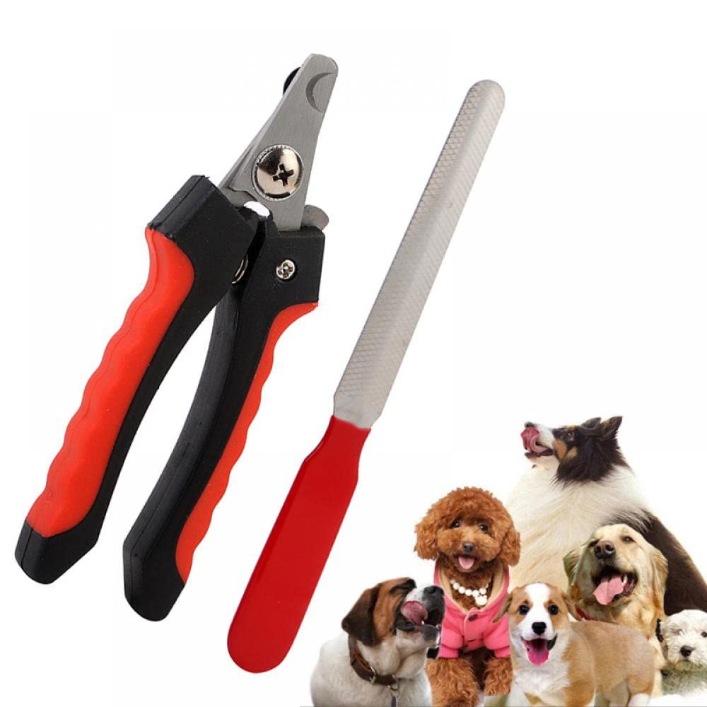NITZU PETS Dog & Cat Pets Nail Clippers and Trimmers Professional Pet Nail Clipper Grooming Tool for Thick Nails Easy-to-Cut Pets Nail Cutter with Free Nail File for Large and Small Animals (B0BYJSRFSC) Amazon Price History, Amazon Price Tracker
