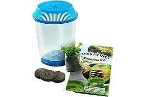 Live Venus Flytrap Plant Kit in 4.5" Terrarium + Carnivorous Plant Food Bundle