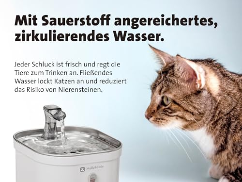Molly&Cody Spring Trinkbrunnen für Katzen & Hunde (2L Wasserkapazität, automatischer Wasserspender, Ultra leise Wasserpumpe, sichtbare Wasserstandanzeige, 3-faches Filtersystem, kompakt, Edelstahl)