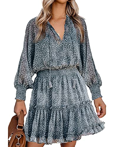 Happy Sailed Womens Long Sleeve Swing Mini Dress Casual V Neck Flower Printed Skater Skirt Chiffon Beach Party Dresses Blue Large